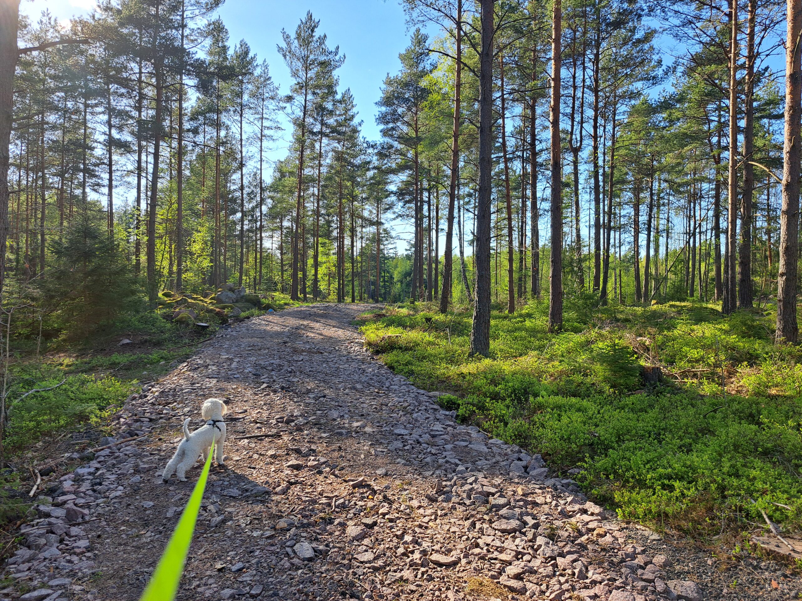 Home Bild Klimatsmarthem